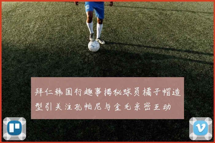 拜仁韩国行趣事揭秘球员橘子帽造型引关注孔帕尼与金毛亲密互动